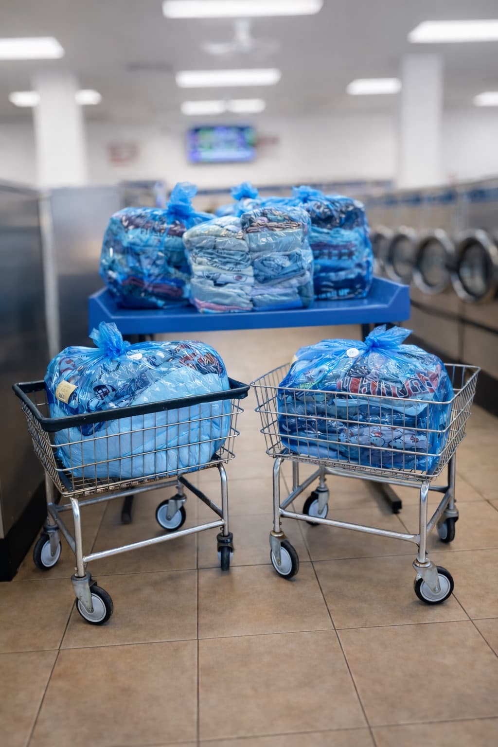 Laundry carts loaded with bagged commercial orders ready for delivery